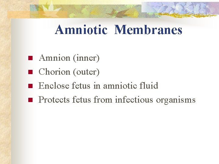 Amniotic Membranes n n Amnion (inner) Chorion (outer) Enclose fetus in amniotic fluid Protects Amniotic Membranes n n Amnion (inner) Chorion (outer) Enclose fetus in amniotic fluid Protects