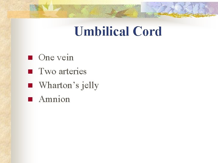 Umbilical Cord n n One vein Two arteries Wharton’s jelly Amnion Umbilical Cord n n One vein Two arteries Wharton’s jelly Amnion