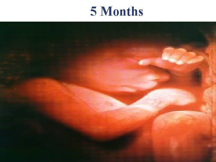 5 Months 5 Months