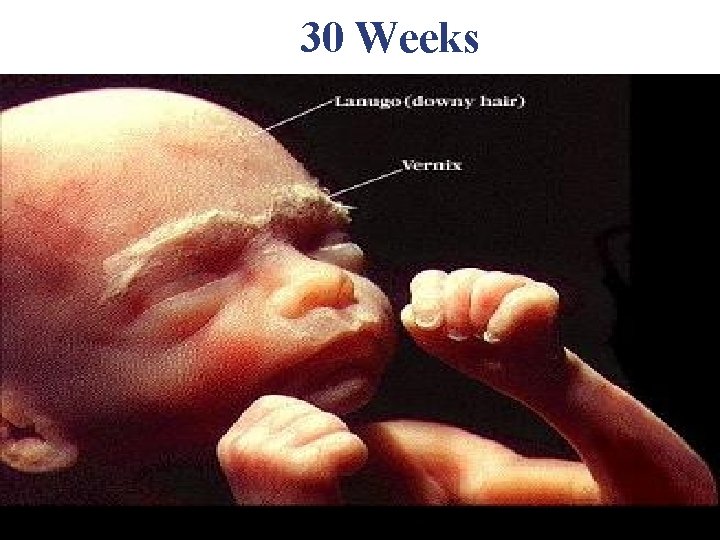 30 Weeks 30 Weeks