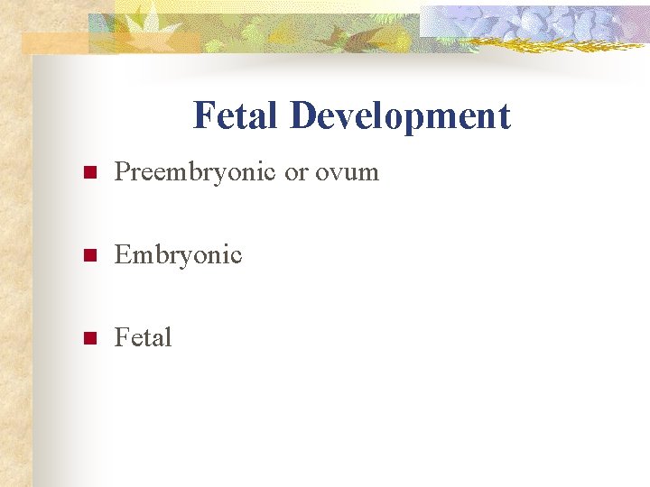Fetal Development n Preembryonic or ovum n Embryonic n Fetal Fetal Development n Preembryonic or ovum n Embryonic n Fetal