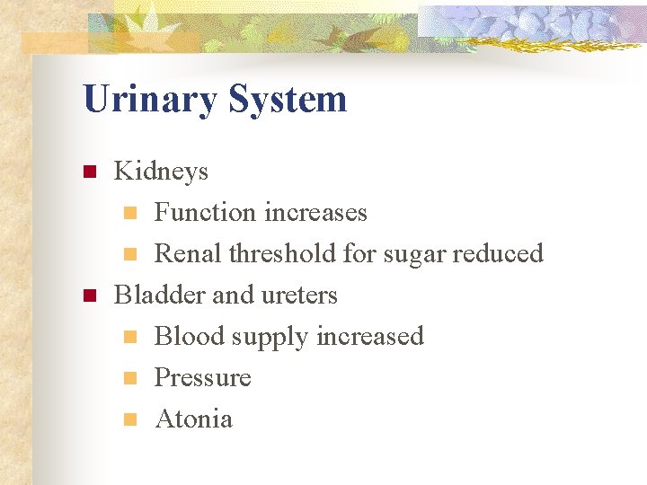 Urinary System n n Kidneys n Function increases n Renal threshold for sugar reduced Urinary System n n Kidneys n Function increases n Renal threshold for sugar reduced