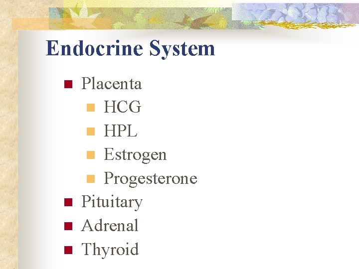 Endocrine System n n Placenta n HCG n HPL n Estrogen n Progesterone Pituitary Endocrine System n n Placenta n HCG n HPL n Estrogen n Progesterone Pituitary