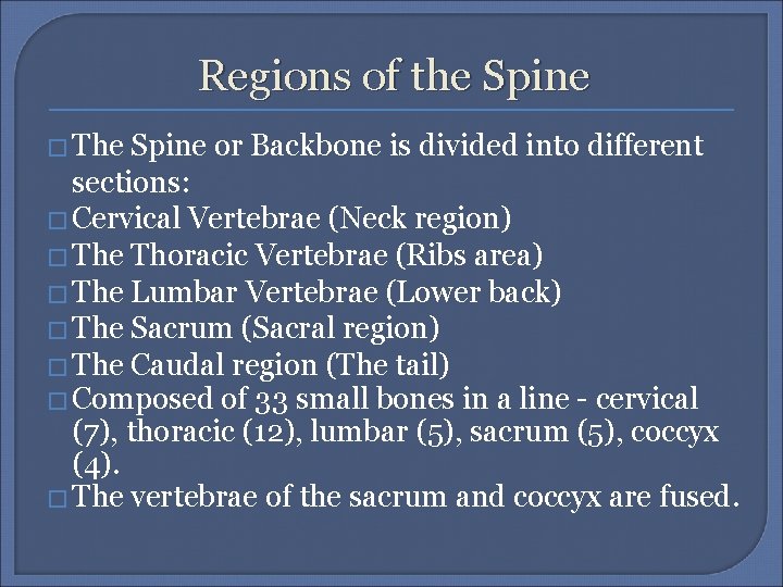 Regions of the Spine � The Spine or Backbone is divided into different sections: