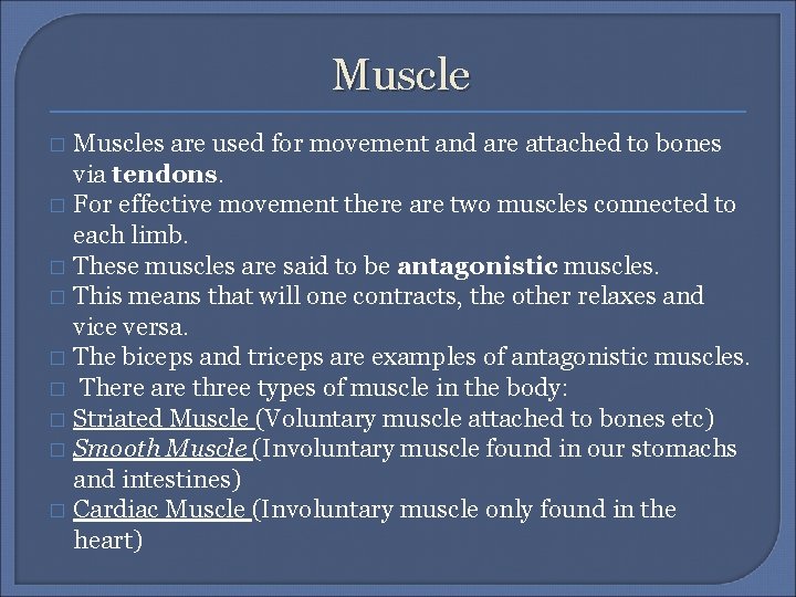 Muscles are used for movement and are attached to bones via tendons. � For