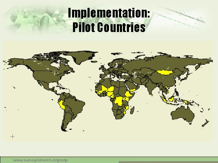 Implementation: Pilot Countries 