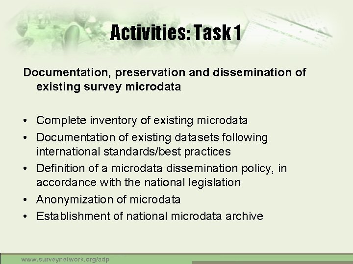 Activities: Task 1 Documentation, preservation and dissemination of existing survey microdata • Complete inventory
