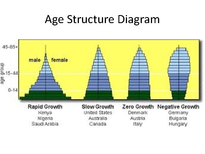 Age Structure Diagram 