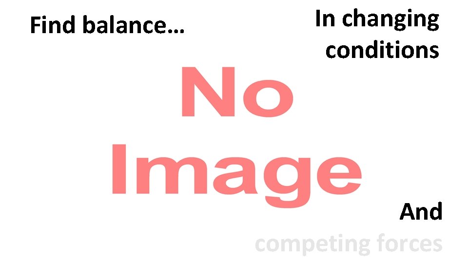 Find balance… In changing conditions And competing forces 