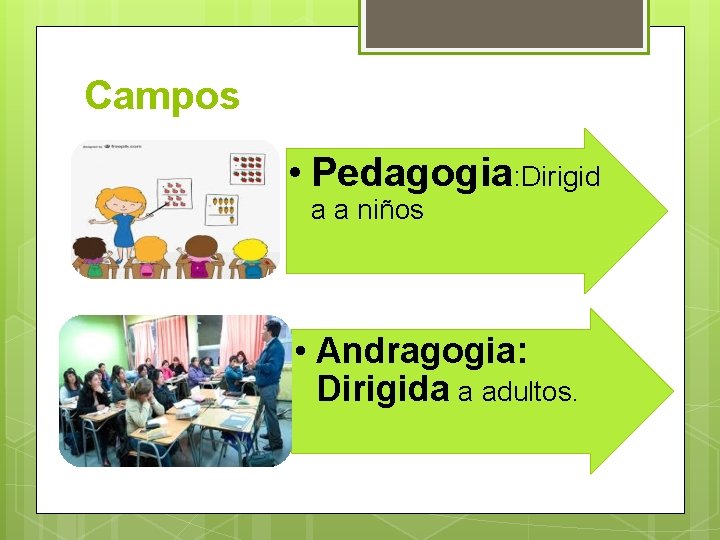 Campos • Pedagogia: Dirigid a a niños • Andragogia: Dirigida a adultos. 