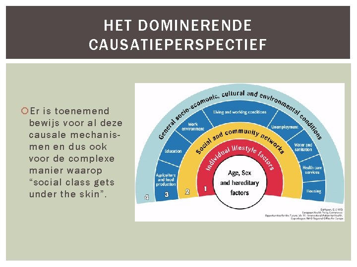 HET DOMINERENDE CAUSATIEPERSPECTIEF Er is toenemend bewijs voor al deze causale mechanismen en dus