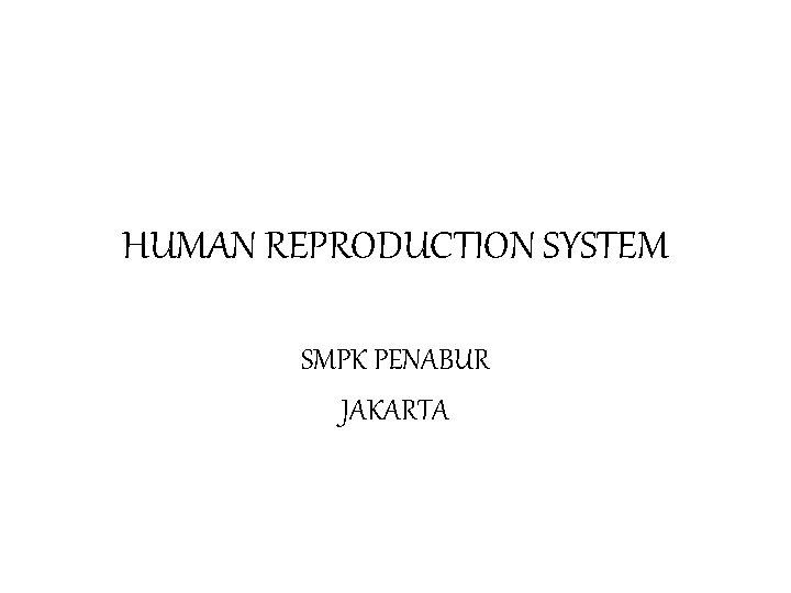 HUMAN REPRODUCTION SYSTEM SMPK PENABUR JAKARTA 