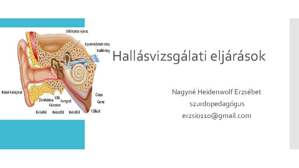 Hallásvizsgálati eljárások Nagyné Heidenwolf Erzsébet szurdopedagógus erzsi 0110@gmail. com 