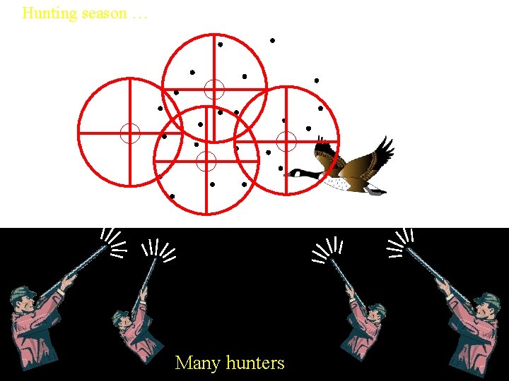 Hunting season … Many hunters 