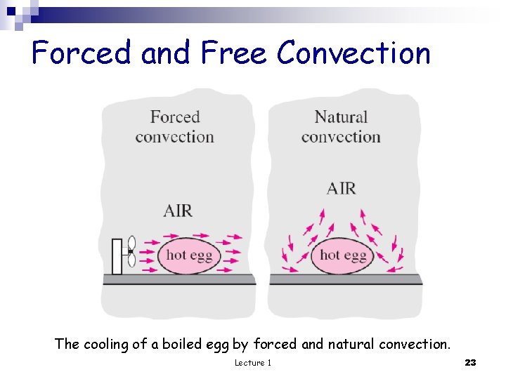 Forced and Free Convection The cooling of a boiled egg by forced and natural
