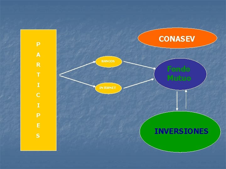 CONASEV P A R BANCOS Fondo Mutuo T I INTERNET C I P E