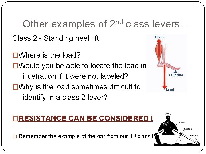 Other examples of 2 nd class levers… Class 2 - Standing heel lift �Where Other examples of 2 nd class levers… Class 2 - Standing heel lift �Where