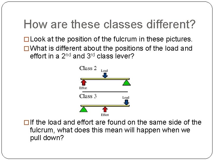 How are these classes different? � Look at the position of the fulcrum in How are these classes different? � Look at the position of the fulcrum in