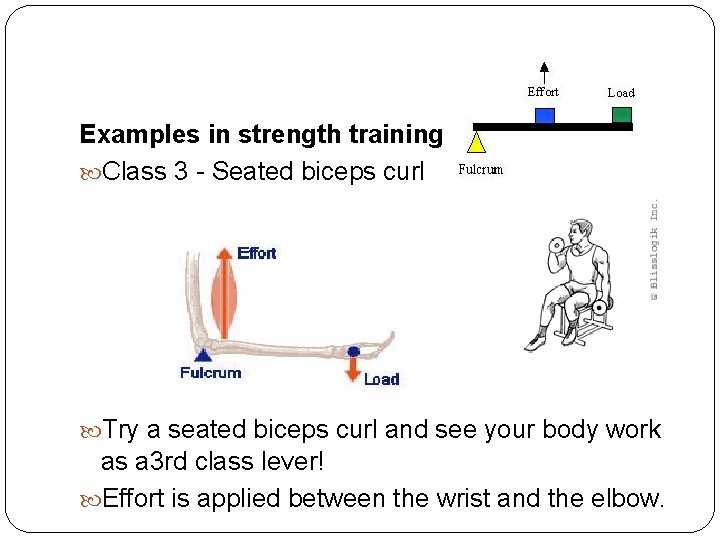 Examples in strength training Class 3 - Seated biceps curl Try a seated biceps Examples in strength training Class 3 - Seated biceps curl Try a seated biceps