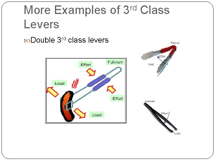 More Examples of 3 rd Class Levers Double 3 rd class levers More Examples of 3 rd Class Levers Double 3 rd class levers