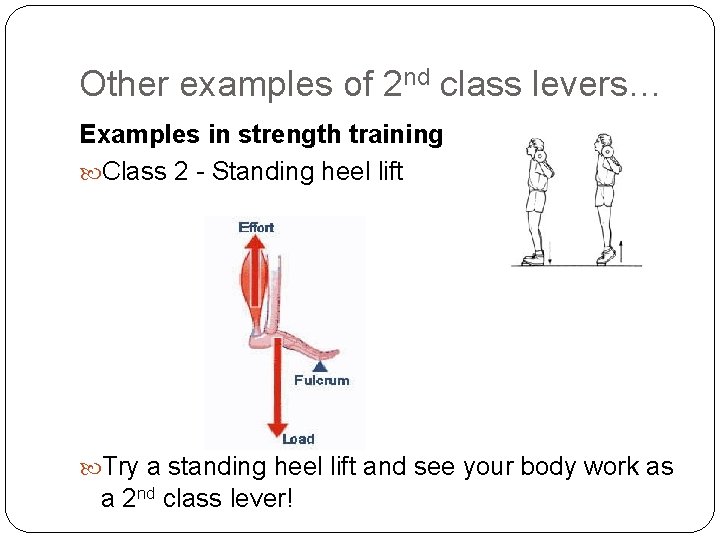 Other examples of 2 nd class levers… Examples in strength training Class 2 - Other examples of 2 nd class levers… Examples in strength training Class 2 -