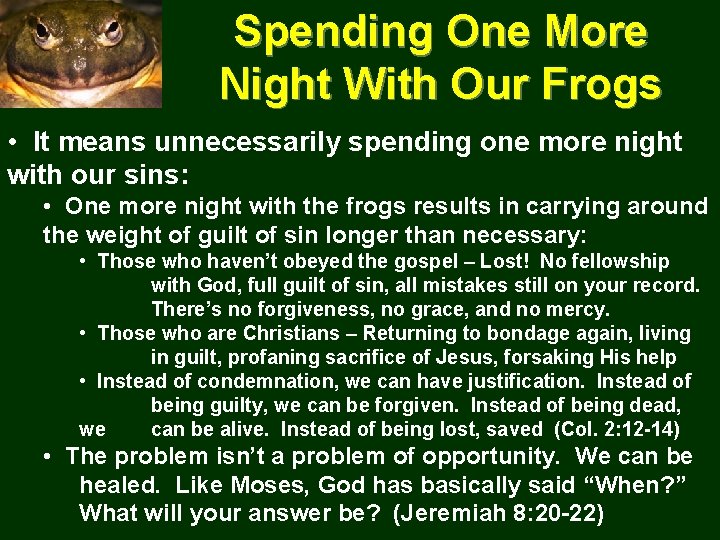Spending One More Night With Our Frogs • It means unnecessarily spending one more