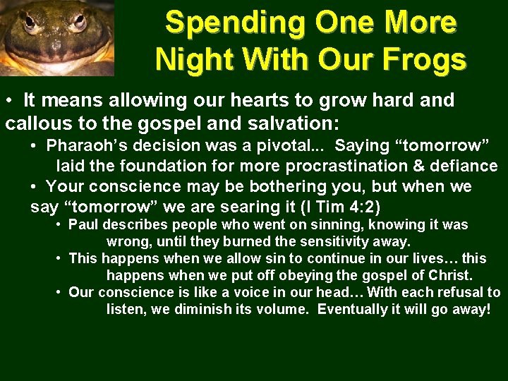 Spending One More Night With Our Frogs • It means allowing our hearts to