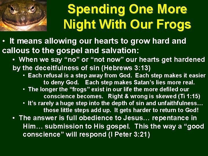 Spending One More Night With Our Frogs • It means allowing our hearts to