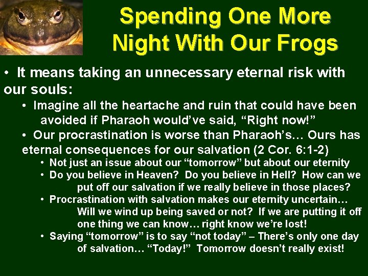Spending One More Night With Our Frogs • It means taking an unnecessary eternal