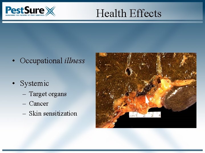 Health Effects • Occupational illness • Systemic – Target organs – Cancer – Skin Health Effects • Occupational illness • Systemic – Target organs – Cancer – Skin