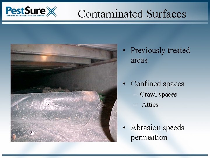 Contaminated Surfaces • Previously treated areas • Confined spaces – Crawl spaces – Attics Contaminated Surfaces • Previously treated areas • Confined spaces – Crawl spaces – Attics