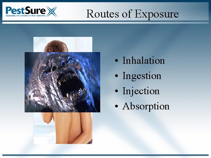 Routes of Exposure • • Inhalation Ingestion Injection Absorption Routes of Exposure • • Inhalation Ingestion Injection Absorption