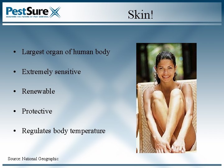 Skin! • Largest organ of human body • Extremely sensitive • Renewable • Protective Skin! • Largest organ of human body • Extremely sensitive • Renewable • Protective