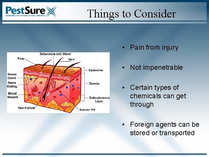Things to Consider • Pain from injury • Not impenetrable • Certain types of Things to Consider • Pain from injury • Not impenetrable • Certain types of