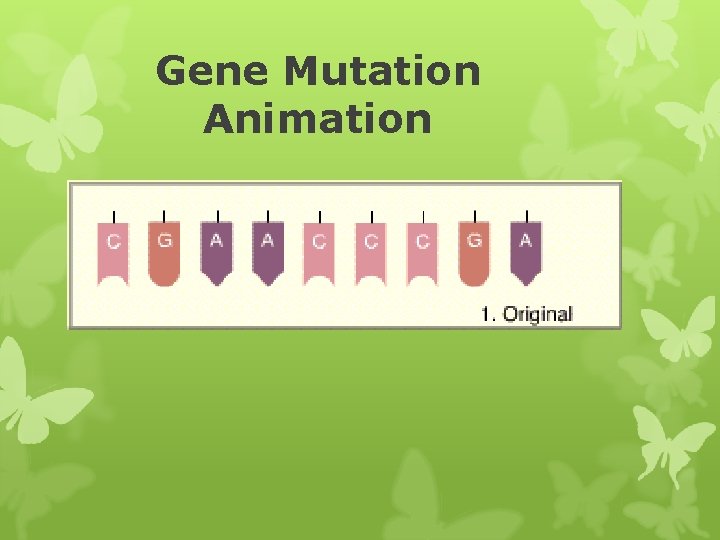 Gene Mutation Animation 