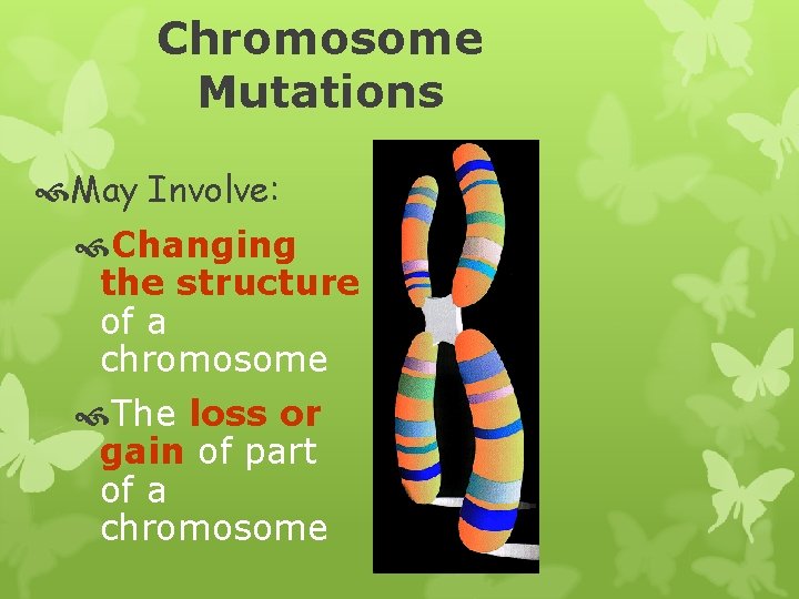 Chromosome Mutations May Involve: Changing the structure of a chromosome The loss or gain