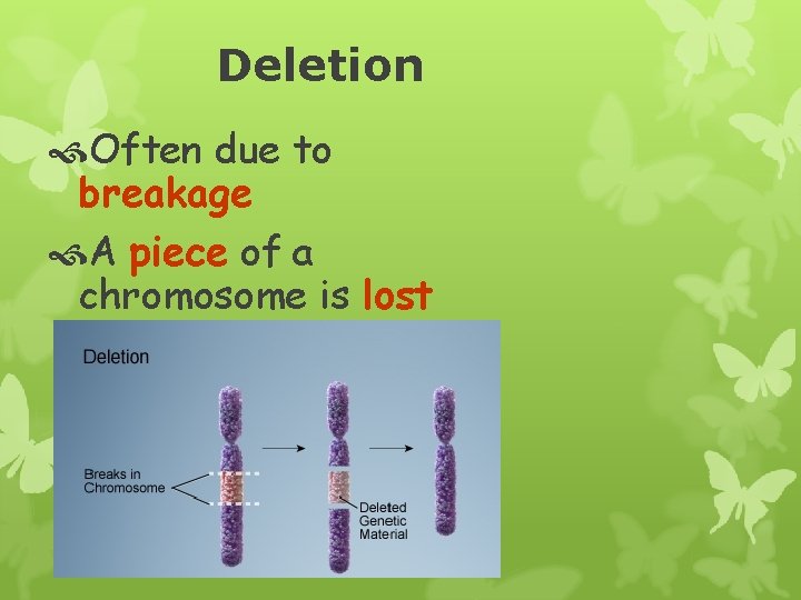 Deletion Often due to breakage A piece of a chromosome is lost 