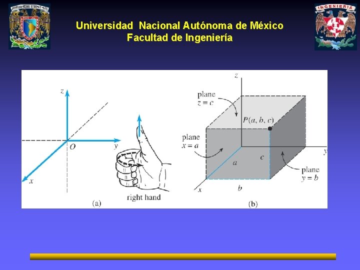 Universidad Nacional Autónoma de México Facultad de Ingeniería 