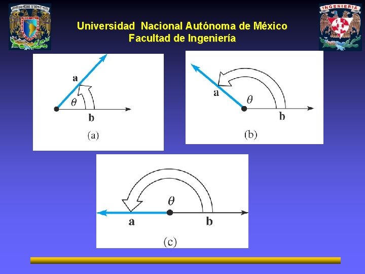 Universidad Nacional Autónoma de México Facultad de Ingeniería 