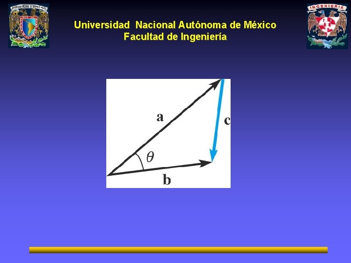 Universidad Nacional Autónoma de México Facultad de Ingeniería 