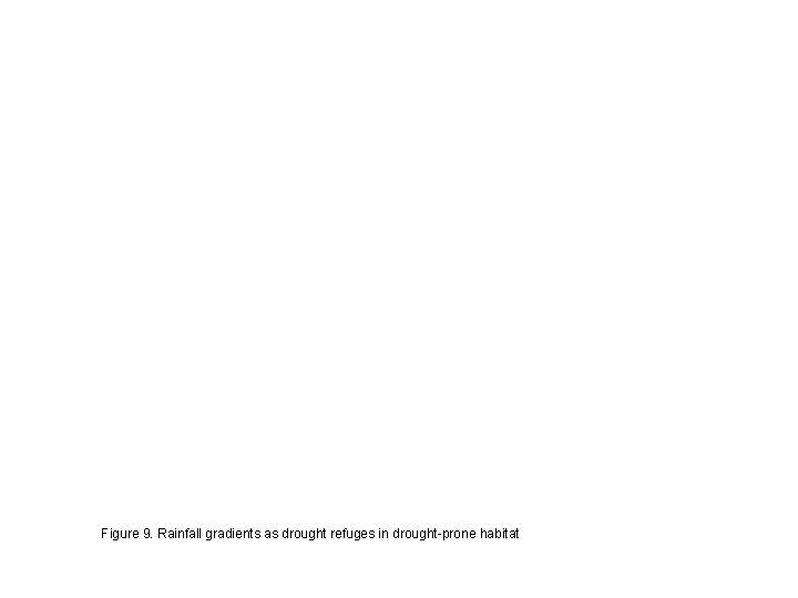 Figure 9. Rainfall gradients as drought refuges in drought-prone habitat 