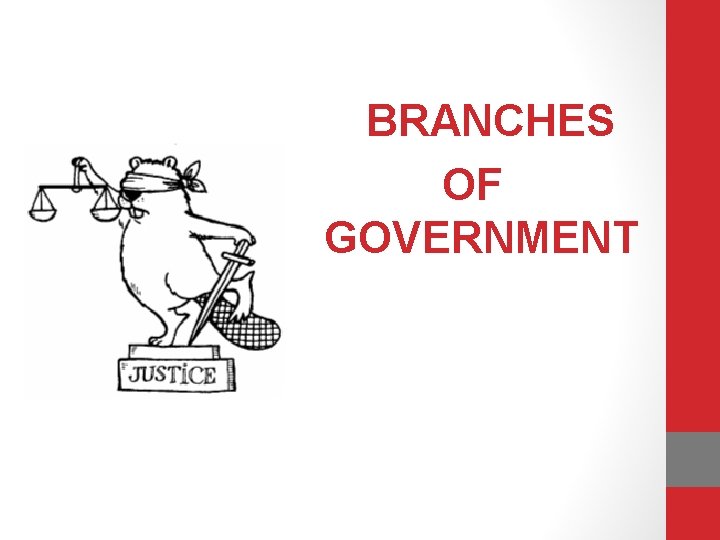 BRANCHES OF GOVERNMENT 