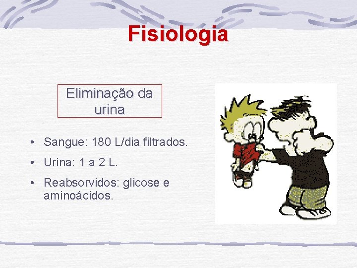 Fisiologia Eliminação da urina • Sangue: 180 L/dia filtrados. • Urina: 1 a 2