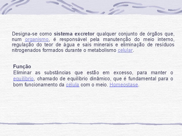 Designa-se como sistema excretor qualquer conjunto de órgãos que, num organismo, é responsável pela