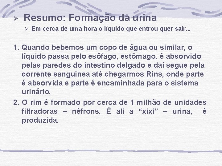 Ø Resumo: Formação da urina Ø Em cerca de uma hora o líquido que