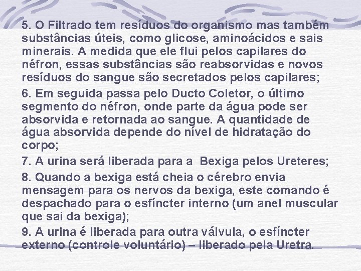 5. O Filtrado tem resíduos do organismo mas também substâncias úteis, como glicose, aminoácidos 5. O Filtrado tem resíduos do organismo mas também substâncias úteis, como glicose, aminoácidos