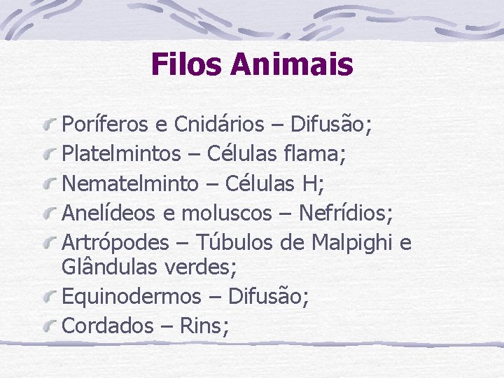 Filos Animais Poríferos e Cnidários – Difusão; Platelmintos – Células flama; Nematelminto – Células