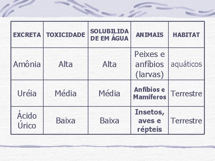EXCRETA TOXICIDADE Amônia Uréia Ácido Úrico Alta Média Baixa SOLUBILIDA DE EM ÁGUA Alta EXCRETA TOXICIDADE Amônia Uréia Ácido Úrico Alta Média Baixa SOLUBILIDA DE EM ÁGUA Alta