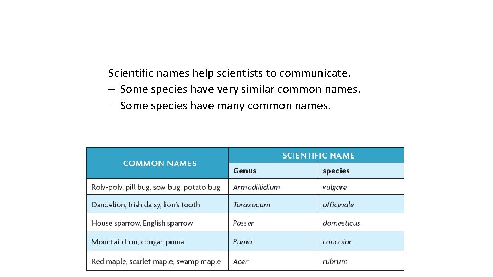Scientific names help scientists to communicate. – Some species have very similar common names.