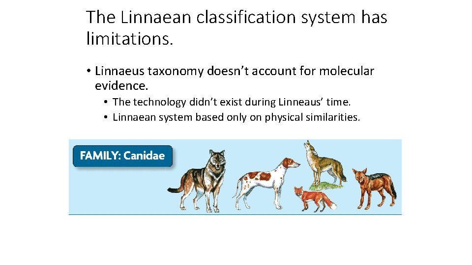 The Linnaean classification system has limitations. • Linnaeus taxonomy doesn’t account for molecular evidence.